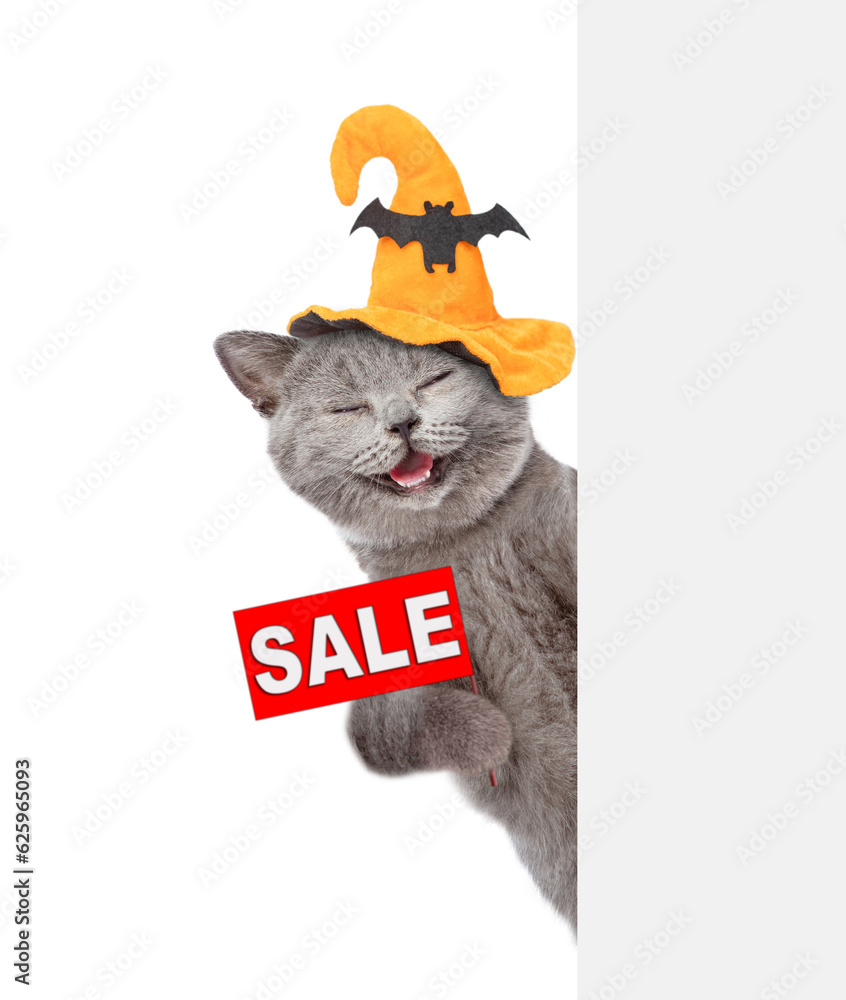 Poster happy cat wearing hat for halloween looks through a hole in white paper and points away on empty spa