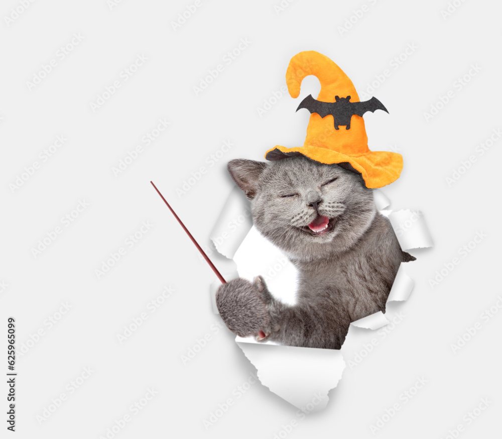 Aufkleber happy cat wearing hat for halloween looks through a hole in white paper and points away on empty spa