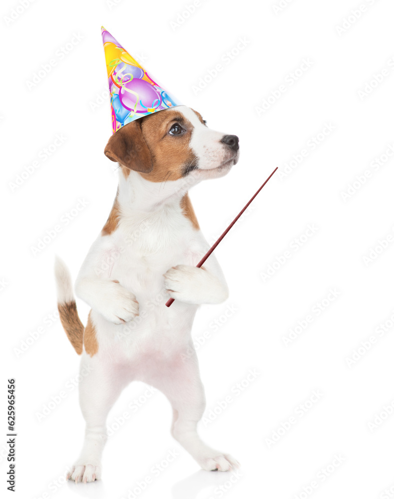 Poster funny jack russell terrier puppy wearing party cap points away on empty space. isolated on white bac