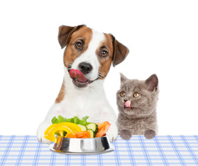 Happy licking lips Jack russell terrier puppy holding bowl of vegetables with tiny kitten. isolated on white background