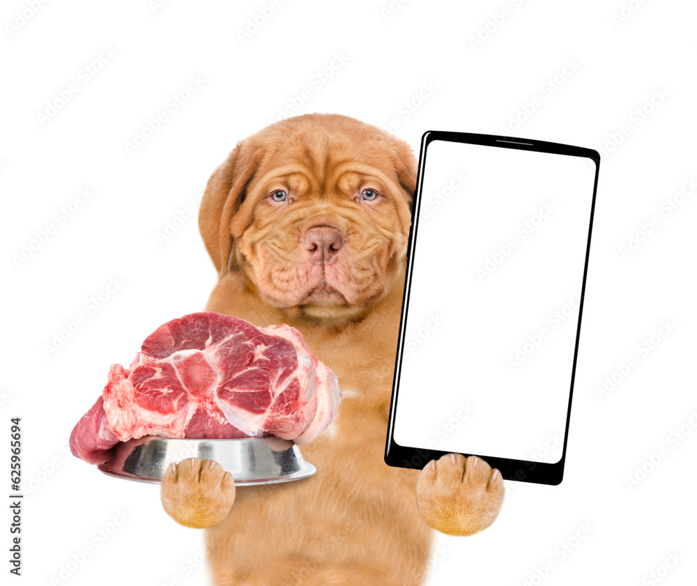 Poster serious puppy holding bowl of raw meat and shows empty screen of smartphone. isolated on white backg