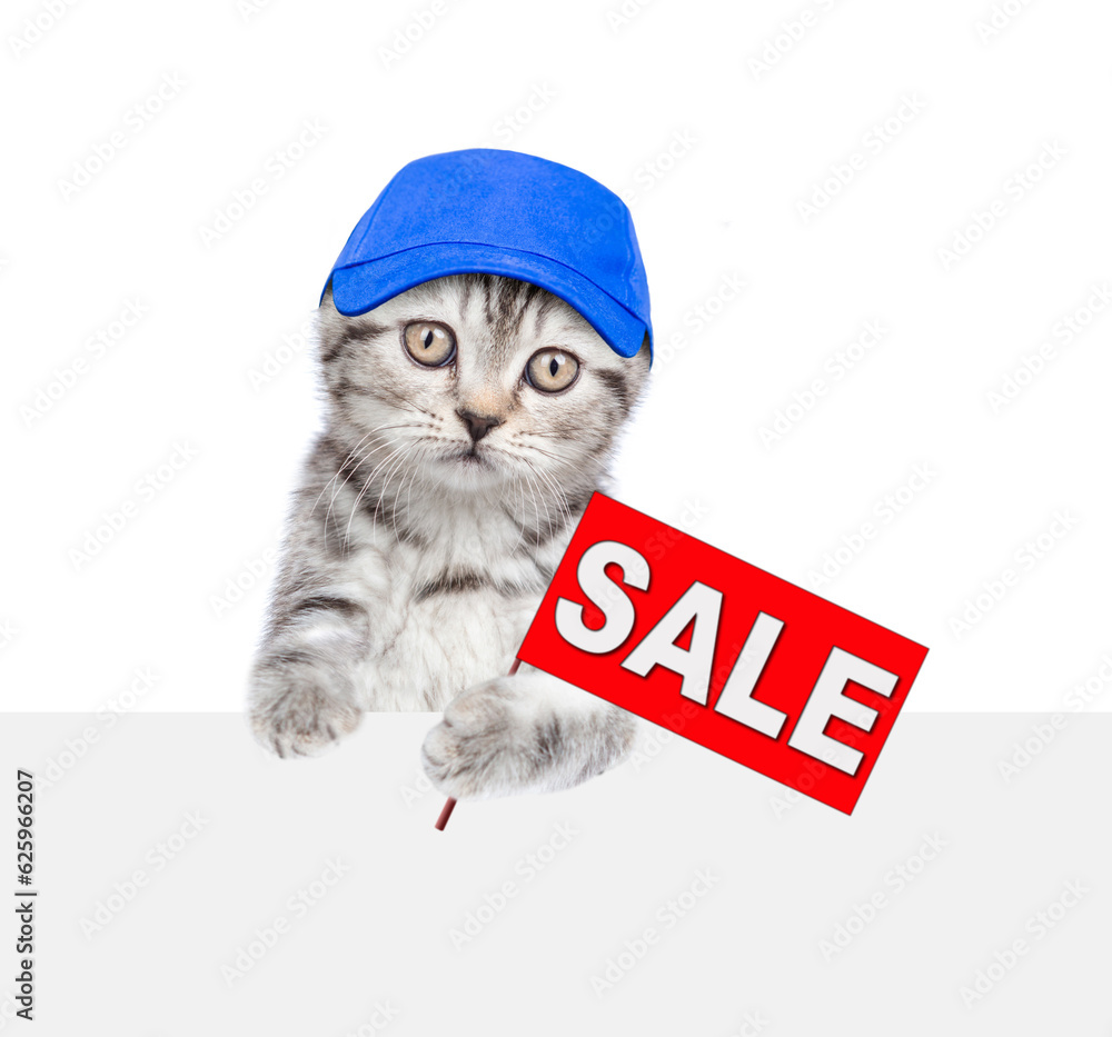 Poster cat wearin blue cap holds signboard with labeled 