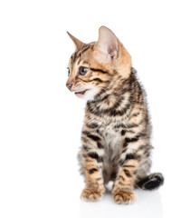 Tiny bengal kitten sitting in front view and looking away on empty space. isolated on white background