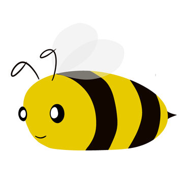 Cute honey bee