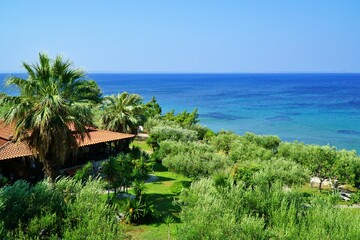 beach with trees in Gerakini, Greece.