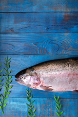 Fresh whole rainbow trout on blue background with  seaweed imitation. Top view
