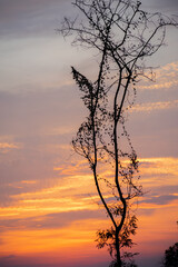 Awesome sunset natural view in the monsoon season in North east India.