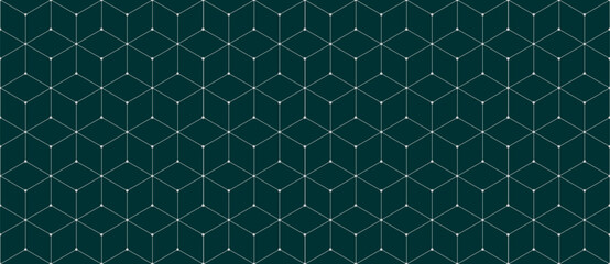 Vector seamless cubic hexagon pattern. Abstract geometric low poly background. Stylish grid texture connect the dots. - obrazy, fototapety, plakaty