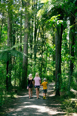 A mum and two children are walking away from the camera in a beautiful forest trail in New Zealand.