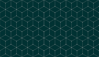 Fototapeta na wymiar Vector seamless cubic hexagon pattern. Abstract geometric low poly background. Stylish grid texture connect the dots.