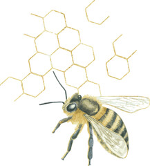 Gold Shining Paint Stain Hand Drawn Illustration brush stroke paint
 ornament decorate.gold insect.Watercolor bee,gold honeycomb.Wedding invitation border