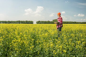 Farmer man agronomist with laptop in blossoming rapeseed field. Agribusiness, man controlled his field.