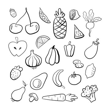 Hand drawn fruits and vegetables in doodle style isolated on white background. Vector illustration for banners, sites, menu design, packaging, cooking book or advertising.