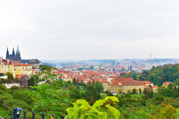 Beautiful panorama of the city with ancient architecture, gothic cathedral, buildings with red roofs and trees. Czech Republic, Prague, October 2022
