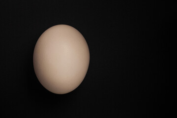 Chicken egg on black background