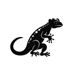 Fototapeta premium gecko looking isolated on white