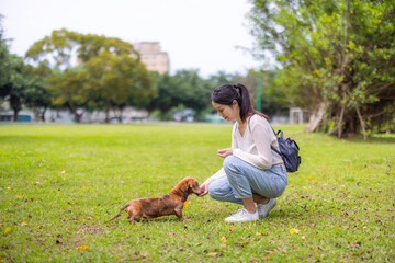 Woman give snack to the dog at park