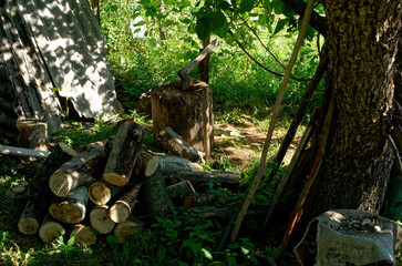 Firewood lying in the garden under a tree