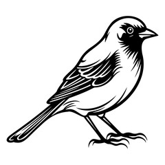 Finches silhouette, Finches mascot logo, Finches Black and White Animal Symbol Design, Bird icon.