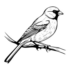 Finches silhouette, Finches mascot logo, Finches Black and White Animal Symbol Design, Bird icon.
