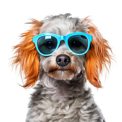 Naklejka premium dog wearing cool glasses transparent background, PNG ,Generative AI 