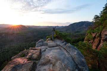 Kiefer Baum auf Sandstein zum Sonnenaufgang bei der Häntzschelstiege in der Sächsischen Schweiz...
