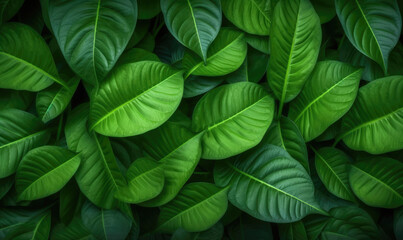 Green foliage wallpaper. Forest group leaves. For banner, postcard, book illustration . Created with generative AI tools