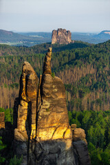 Brosinnadel an der Häntzschelstiege Sandstein Berg im Nationalpark Sächsische Schweiz in Sachsen...