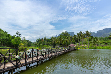 Fototapeta premium A wooden bridge crosses a pond behind which there is a forest and mountain garden. the sky is the background