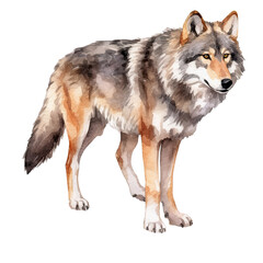 AI-Generated illustration of a Wolf- Watercolor Style