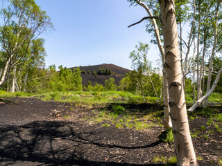 Fototapeta premium Mount Etna, Sicily