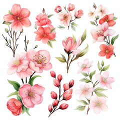 Fototapeta premium Flowers to decorate a wedding card, sakura and peach, light pink watercolor style, individual arrangements, AI generated