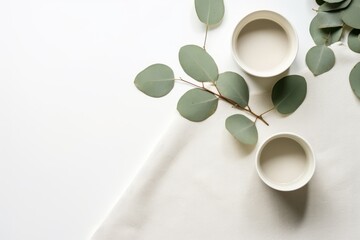eucalyptus cups and leaves with a cup of coffee on white background mockup, in the style of unprimed canvas, muted and subtle tones