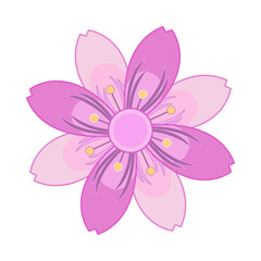 sakura flower vector