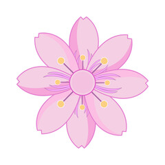 sakura flower vector
