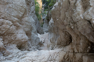 Summer in the ravine of hell (Barranc de l'Inferno), Vall de Laguar, Alicante province, Spain - stock photo