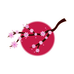 sakura flower vector
