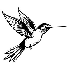Obraz premium Hummingbird’s silhouette, Hummingbirds mascot logo, Hummingbirds Black and White Animal Symbol Design, Bird icon.