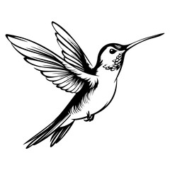 Hummingbird’s silhouette, Hummingbirds mascot logo, Hummingbirds Black and White Animal Symbol Design, Bird icon.