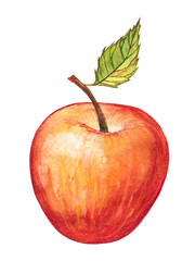 Red apple watercolor painting, ripe apple hand-painted on white background, red apple drawing, ripe apple, red apple icon, watercolor painting ripe apple, isolated apple