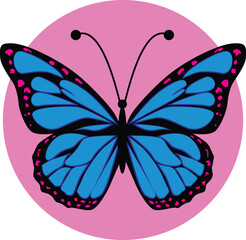 Beautiful vector isolated blue butterfly