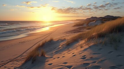 Panoramic view of a dune beach at sunset