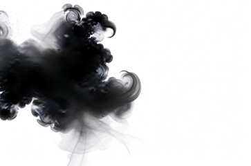 Fototapeta premium smoke on white background