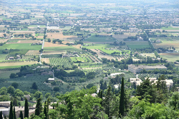 Plaine de l'Ombrie à Assise. Italie