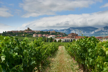 Laguardia. Rioja Alavesa. Alava province, Basque Country, Euskadi, Euskal Herria, Spain, Europe.