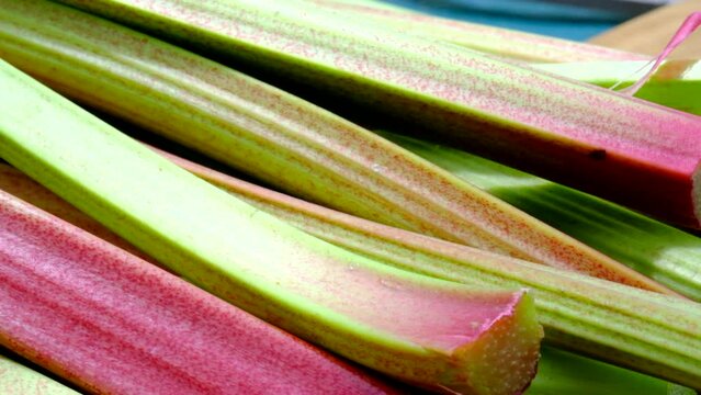 rhubarb freshly picked from organic farm