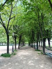 Park