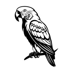 Parrots silhouette, Parrots mascot logo, Parrots Black and White Animal Symbol Design, Bird icon.