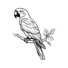 Parrots silhouette, Parrots mascot logo, Parrots Black and White Animal Symbol Design, Bird icon.