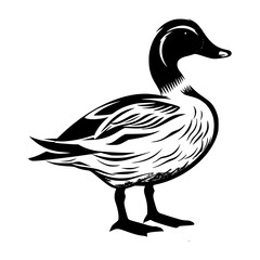 Mallard silhouette, Mallard mascot logo, Mallard Black and White Animal Symbol Design, Bird icon.